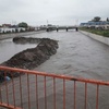 Logo La recuperación de los arroyos en La Plata: clave para que naturaleza y ciudad vuelvan a juntarse