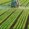 Logo Agroquímicos: un debate necesario que impacta sobre nuestra alimentación