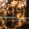 Logo Baño de bosque: "es una práctica ancestral"
