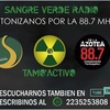 Logo Sangre Verde Radio Colón vs Aldosivi 