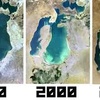 Logo Comité crisis, ecología política: desaparición del mar Aral