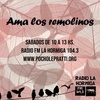 Logo Ama los remolinos - 3ra Temporada (Programa Nro 63)