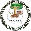 Logo Gustavo Vasallo de MoCaSe en Punto de Partida