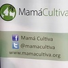 Logo Entrevista a Paulina Bobadilla, presidente y fundadora de "Mamá Cultiva"