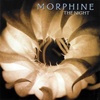 Logo The Night, el testamento musical de Morphine.
