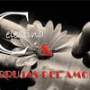 Logo CELESTINA Y BRUJAS DEL AMOR