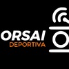 Logo PROGRAMA COMPLETO DE LA ORSAI DEPORTIVA