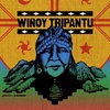 Logo We Tripantu​ - Ariel Epulef, Kona Comunidad Curruhuinca, el nuevo ciclo + promesa a la wenufoye