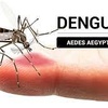 Logo Ricardo Teijeiro:"El brote de dengue comenzó muy temprano y se está prolongando"