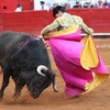 Logo Arturo Berlanga habla sobre las medidas contra la corrida de toros en México 
