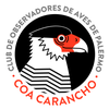Logo Reportaje al COA Carancho en Brunch 95.1 en Radio Metro