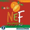 Logo QUE PRETENDE USTED DE MI RADIO NARANJO EN FLOR DESDE SAAVEDRA (CABA)
