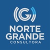 Logo Norte Grande Consultora | Bienal 2016