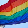 Logo Día Internacional de la Lucha contra la Discriminación por Orientación Sexual e Identidad de Género 