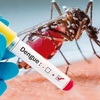 Logo Crecen los casos de Dengue en Entre Ríos