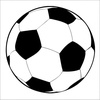 Logo Entrevista a Roberto Putrino, Director técnico del fútbol femenino del Club SAT
