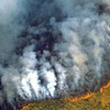 Logo La Amazonia en llamas 