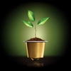 Logo En el mes del medioambiente, Nespresso presentó detalles de su plan de reciclado