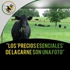 Logo "Los 'Precios Esenciales' de la #carne son una foto" - Alberto Williams (Pte Asoc Carnicerías CABA)