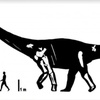 Logo Alberto Garrido Geólogo sobre un nuevo dinosaurio gigante llamado Kaijutitan maui de #Neuquen.