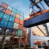 Logo Control de importaciones: "Una medida parcial e insuficiente" | Horacio Rovelli, economista