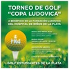 Logo COPA LUDOVICA: un torneo de golf a beneficio de la Fundación Ludovica