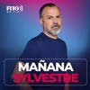 Logo Marcelo Brignoni en Mañana Sylvestre sobre el Fracaso del Movimiento Popular Argentino