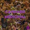 Logo Voces Poderosas. Programa 19/11: Cannabis Medicinal
