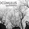 Logo Altocumulus Quinteto en Imaginación es Poder - FM En Tránsito 93.9