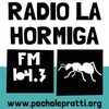 Logo 19 y 20. HACEMOS MEMORIA en Radio La Hormiga. (ESPECIAL del 20/12/20).