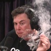 Logo Elon Musk está desnudo | Columna de tecnología de Esteban Magnani
