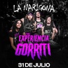 Logo FRANK, GUITARRISTA DE "LA NARIGONA"