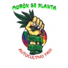 Logo Gabriela Ríos de Morón se Planta - Charla sobre cannabis medicinal