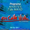 Logo Programa del 7 de mayo 