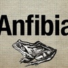 Logo [ENTREVISTA] Mario Greco sobre los 10 años de Revista Anfibia