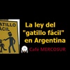 Logo La “ley del gatillo fácil” en Argentina