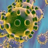 Logo #UnaNuevaAventura | ¿Cómo fortalecer el sistema inmunológico para prevenir el #coronavirus? 