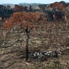 Logo María Elena Zaccagnini sobre el Informe que se presentó en París de Cambio Climático