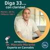 Logo Entrevista al Doctor Marcelo Morante en Diga33