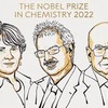 Logo Premio Nobel de Quimica 2023