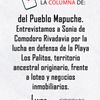Logo Columna del Pueblo Mapuche