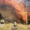 Logo @juniojuancarlos: la inacción del Gobierno frente a los incendios en Corrientes y la Patagonia