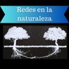 Logo Redes invisibles de la naturaleza