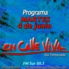 Logo Programa del 4 de junio