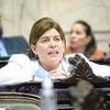 Logo Escándalo en la Cámara de Diputados entre oficialismo y oposición | Ana Clara Romero