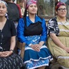 Logo Encuentro por la libertad de las presas políticas de la comunidad mapuche