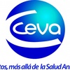 Logo Marco Aurelio López, Global Poultry Marketing de Ceva Salud Animal.