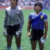 Logo NERY PUMPIDO: "LAMENTO LA ACTITUD DE LOS PUMAS QUE TUVIERON CON LA MUERTE DE MARADONA"