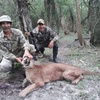 Logo [COLUMNA] Sala de prensa ambiental: Matanza de pumas en cotos de caza