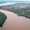 Logo Damián Marino sobre un estudio que detectó la presencia de agroquímicos en el río #Parana.
